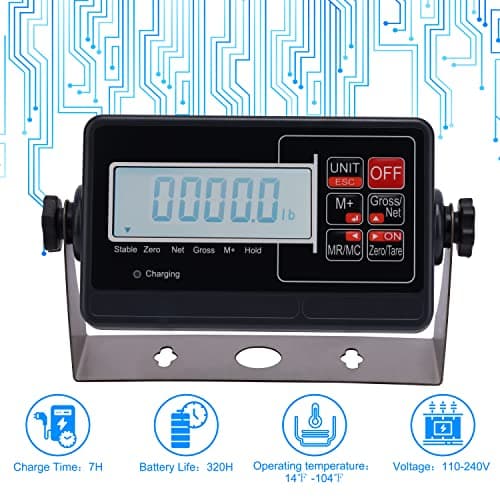 Wheelchair Scale for Home Use with Digital Medical Scale and Dual Ramp